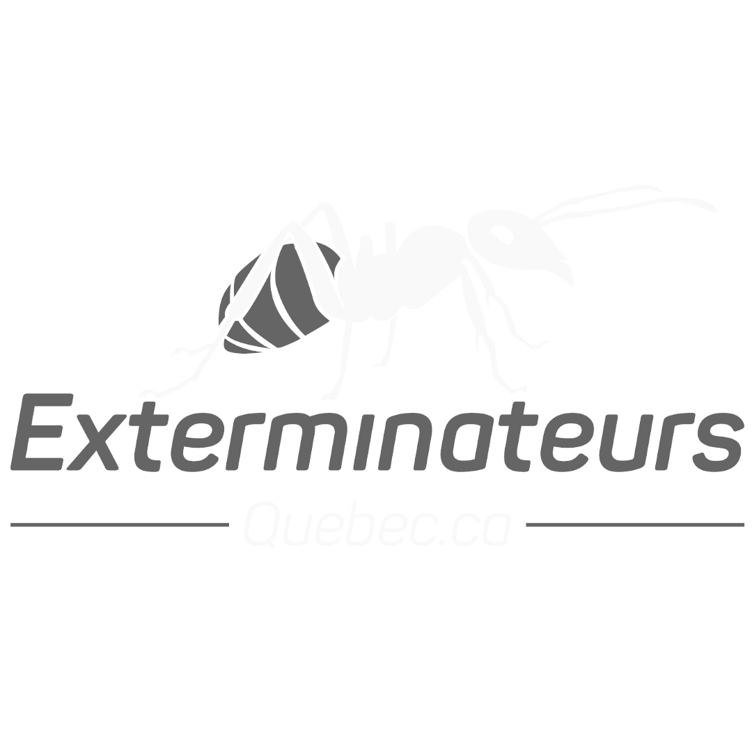 Exterminateurs Quebec