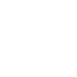 Slam disques