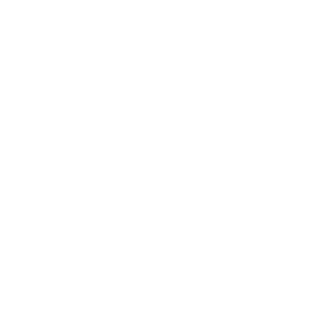 Trajectoire emploi