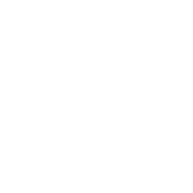 Zone Atomik 13